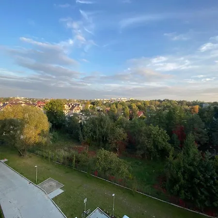 Pure Vista *